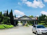 Đất Nền Ngay Cầu Quận 9 , Đối Diện Vin House, Chỉ 11Tr/m2