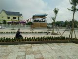 Đất Nền Giá Rẻ Bình Dương