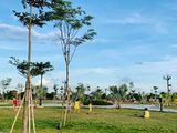 Siêu Dự Án Mới Tại Quy Nhơn New City, Hạ Tầng Hoàn Chỉnh 98%, Giá Chỉ 1 Tỷ/nền