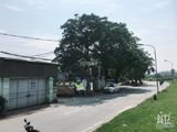 Cần Bán Đất Chính Chủ