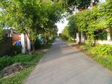Đất Thổ Cư Thành Phố,Giá Rẻ Hơn Thị Trường,100M2,Đường Tỉnh Lộ 15,Sổ Hồng Riêng. 500 Triệu.