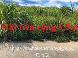 Sàn Bđs Chung Anh Bán Nhiều Ô Đất Cao Xanh C C12 - Ô 271