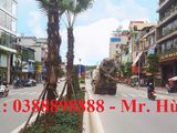 Cần Bán Lô Đất Trục Đường Đôi Kênh Liêm, P. Hồng Hải, Tp. Hạ Long, Giá 150Tr/m2