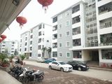 Chung Cư Giá Rẻ, 2Phòng Ngủ/ 51-60M2; Nhận Nhà Ở Ngay. Hỗ Trợ Trả Góp