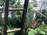 Nhà Đẹp Hẻm Xe Tải Tân Sơn Nhì, Kinh Doanh Tốt 98M2 Chỉ 10 Tỷ - 0938498039.