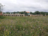 Bán Đất Thôn 5, Xã Tà Nung, Đà Lạt 3630Mv Đ3976