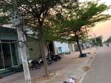 Cần Bán Đất Ở Đô Thị Tỉnh Ninh Thuận