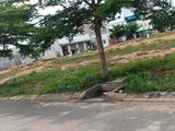 Bán Đất Gần Kcn Lê Minh Xuân Măt Tiền Đường Trần Văn Giàu Với Giá Chỉ Có 650 Triệu