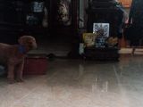 Bán Nhà Hoàng Văn Thái 30M 4Tầng, Nhà Đẹp Ở Ngay Giá 2.8 Tỷ.