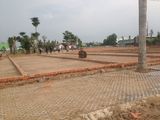 Cần Bán 125M2 Đất Thổ Cư Ngay Mt Trần Văn Chẩm Shr O974817391
