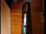 Bán Nhà 2 Mặt Tiền Thụy Khuê 41M2 ,ngõ Rộng 2 Xích Lô Tránh Nhau