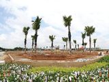 Đất Nền Đồng Xoài Giá Rẻ