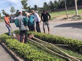 Đất Nền Giá Rẻ , Ngay Trung Tâm Tp Vĩnh Long , Sổ Đỏ Trao Tay , Gía (8Tr Đến 10Tr)