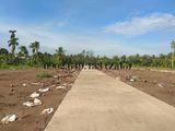 Sang Lại 4 Nền Đất Thổ Kdc Phú An Hòa.Cách Kcn Giao Long Chỉ 2,5Km