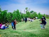 Biệt Thự Phoenix Garden 200M2 Chỉ 5,5 Tỷ Cả Nhà Cả Đất, Mua Ngay Trước Khi Tăng Giá
