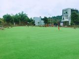 Cơ Hội Đầu Tư Giá Rẻ Chính Sách Tốt Chỉ Cần 210Tr Tại Tp Lào Cai
