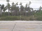 Lô Đất 1600M2 Tại Hội An Cần Bán