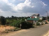 Cơ Hội Sở Hữu Đất Đà Lạt - 1600M2- 22,xxx Tr/m ______- Phù Hợp Đầu Tư- Các Nhà Đầu Tư Sinh Năm 1948,1957,1966,1975,1984,1993______