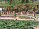Chỉ 370 Triệu Sở Hữu Ngay 5000M2 Đất Trang Trại Tại Khu Nghỉ Dưỡng Lâm Đồng