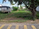 Cần Bán Gấp Lô Đất Khu Củ Chi, Xã Tân Thông Hội. Giá 550 Triệu 1 Nền 100M2. Thổ Cư 100%