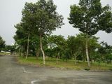Chỉ 800 Triệu Có Ngay Lô Đất 100M2 Trung Tâm Củ Chi, Thổ Cư 100%, Sổ Hồng Đầy Đủ