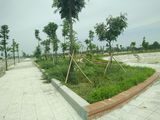 Đầu Tư Là Thắng Chỉ Có Kdt Đồng Văn Green Park- Đối Diện Kcn Đồng Văn Iv, Lh. 035.272.9668