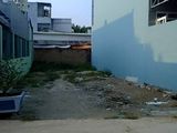 Bán Nhanh Miếng Đất Thổ Sổ Hồng 115M2 Sau Chùa Lá 1Tỷ Liên Hệ O9O2931O42