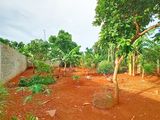Bán Gấp Nhà Vườn 2,8 Tỷ Nhà Vườn Rộng 660M2 Đường Nhựa Đẹp