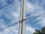 Đất Chính Chủ Hai Mặt Tiền Huyện Bình Chánh, Sổ Hồng Riêng, 100M, Đất Đầu Tư Sinh Lời Cao