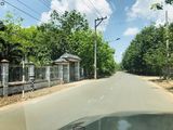 Ông Chú Nhờ Bán Giùm Lô Đất Bình Dương Giá 420 Triệu Hơn 1000M2