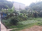Bán Nhà Phố Nguyễn Văn Cừ, Dt 40M2, 5 Tầng, Giá 4 Tỷ, Lh 0988015968