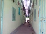 Cần Bán 2 Dãy Trọ+2 Kiot, Sổ Hồng Riêng,bình Dương,giá Rẻ