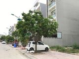 Chính Chủ Bán 2 Ô Đất Cạnh Nhau Khu Trung Tâm Hồng Hải – Hạ Long, 200M2 Sổ Đỏ Gần Quảng Trường