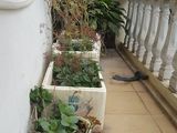 Bán Nhà Hoàng Mai 45M2, Nhà Mới Ở Luôn 5 Tầng, Mặt Tiền 4M, Giá Chỉ 3,9 Tỷ Đồng