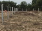 Cần Tiền Bán Gấp Đất Xã Hòa Khánh,H. Đức Hòa, Tỉnh Long An, Đất Mặt Tiền Nở Hậu