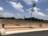 Đất Nền Giá 1Tỷ3/lô Tại Dự Án Tân Phước Khánh Village