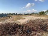 Đất Nền Thổ Cư, Đất Nền Phước Thái Gần Dự Án Sân Bay Long Thành. Bán Bán Sào Mẫu