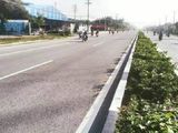 Đất Thổ Cư 100% Sổ Hồng Riêng Nằm Ở Trung Tâm Thị Xã Tân Uyên Bình Dương