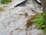 Bán Lô Đất 2 Mặt Kiệt Kiệt 455 Nguyễ N Lương Bằng Vị Trí Quá Đệp Cách Đường Chính 50M