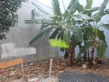 Bán Lô Đất Hxh Đường 182, Tăng Nhơn Phú A, 7X10M, (71M2), 3,5 Tỷ