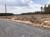 Đất Nền Sân Bay Long Thành Sổ Hồng Riêng Công Chứng Sang Tên Ngay
