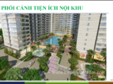 Bán Căn Hộ Golden Mansion, Căn Góc Tháp Gm1 View Đường Phổ Quang, Quận 1 Cực Rẻ 4,2 Tỷ