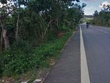 Bán Đất Xã Đasar, Huyện Lạc Dương, Tỉnh Lâm Đồng 12786,88Mv Đ4115