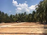 Đất Nha Trang 11,5Tr/m