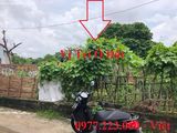 Bán Đất Thổ Cư Ngõ 28 Dốc Xưởng Chè,P.Cao Xanh,Hạ Long Giá Rẻ !!!