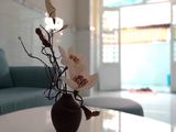 Bán Nhà Quận 9 Diện Tích 58M2 Bưng Ông Thoàn