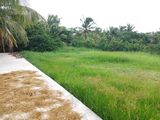 Đất Thổ Cư Chính Chủ, Sổ Hồng Riêng, Xã Tân Nhựt, Huyện Bình Chánh