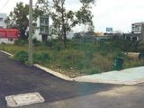 Mua Đất Sinh Lời Bến Cát Bình Dương