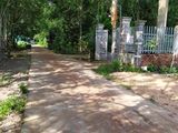 Bán Đất Nền Thành Tâm