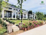 Ohara Farmstay – Mô Hình Đầu Tư Tiềm Năng, Lợi Nhuận Kép Hấp Dẫn